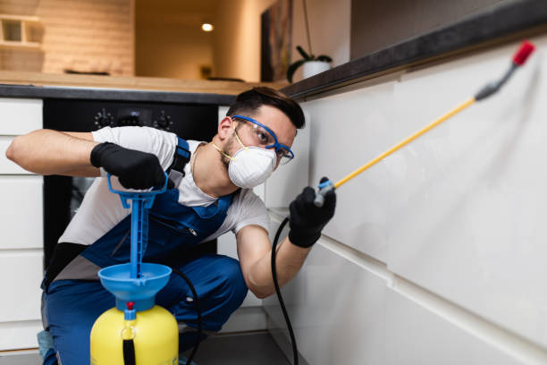 Best Affordable Pest Control Services  in Fort Belvoir, VA