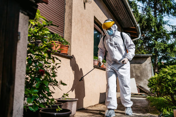 Insect Control in Fort Belvoir, VA