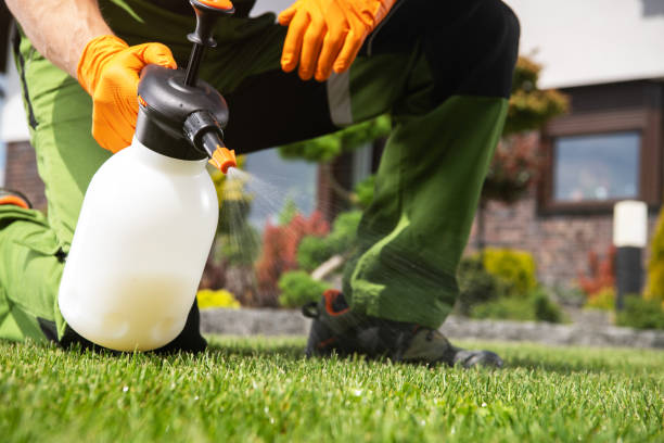 Best Bird Control  in Fort Belvoir, VA