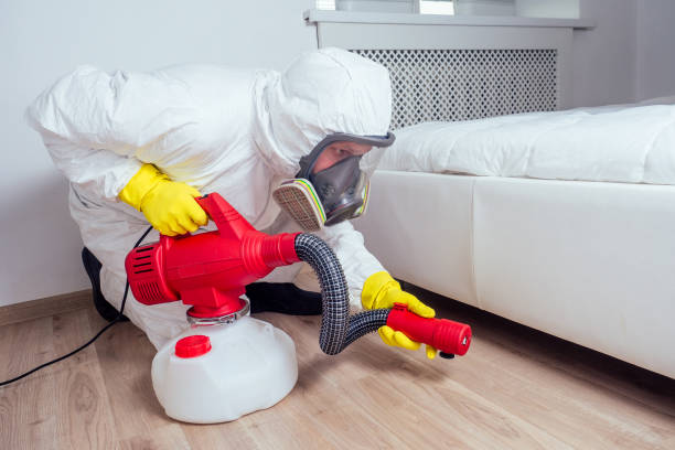 Best Spider Control Near Me  in Fort Belvoir, VA