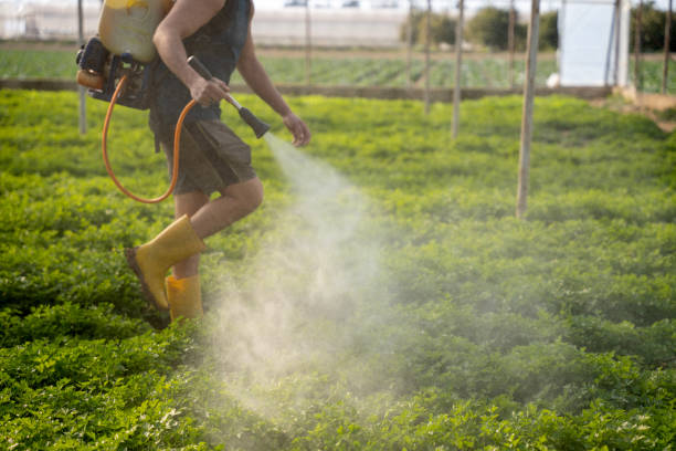 Best Pest Removal Services  in Fort Belvoir, VA