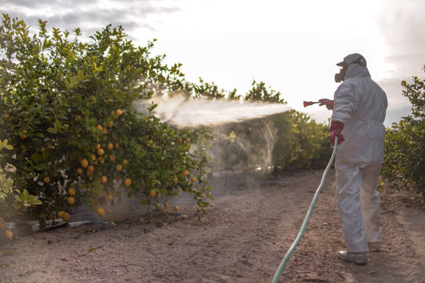 Professional Pest Control in Fort Belvoir, VA