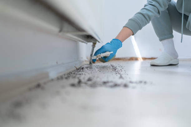 Pest Control for Restaurants in Fort Belvoir, VA