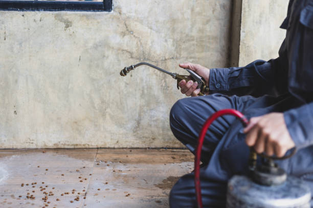 Best Pest Prevention Services  in Fort Belvoir, VA