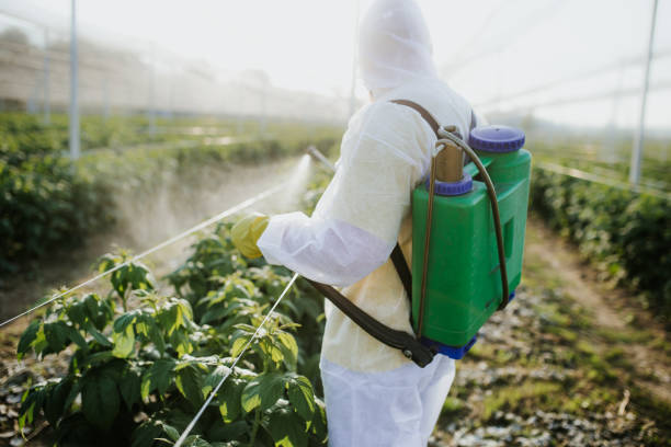 Best Best Pest Control Companies  in Fort Belvoir, VA